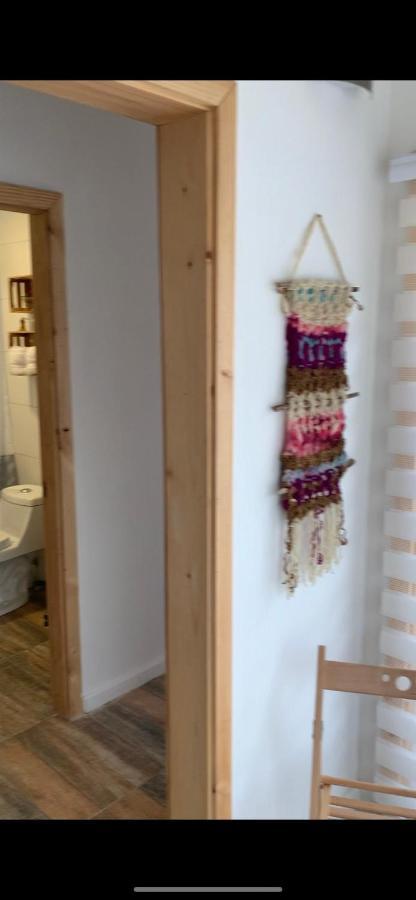 Cabanas El Jardin De Jacinta 코이아이케 외부 사진